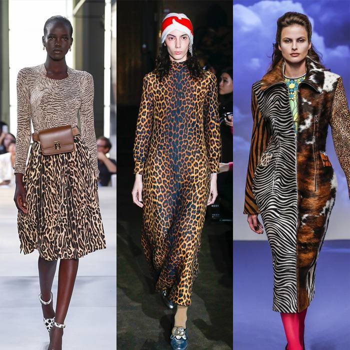 Fashion Trends
