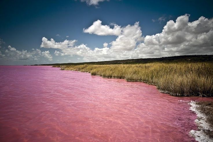 Lake Retba- Senegal Lake Retba- Senegal