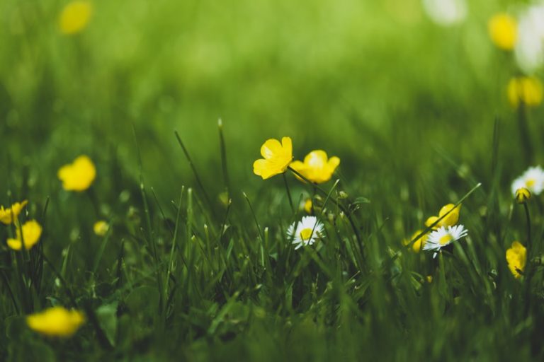 Spring starts tonight