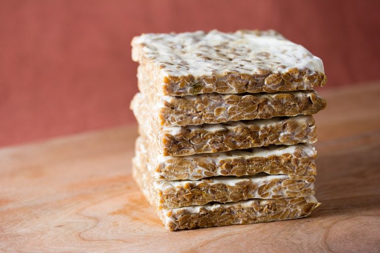 Tempeh Tempeh